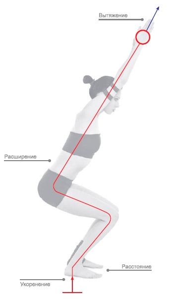 Иллюстрация к книге — Энергетика йоги. Практический курс [i_019.jpg]