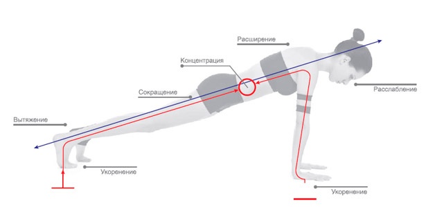 Иллюстрация к книге — Энергетика йоги. Практический курс [i_023.jpg]
