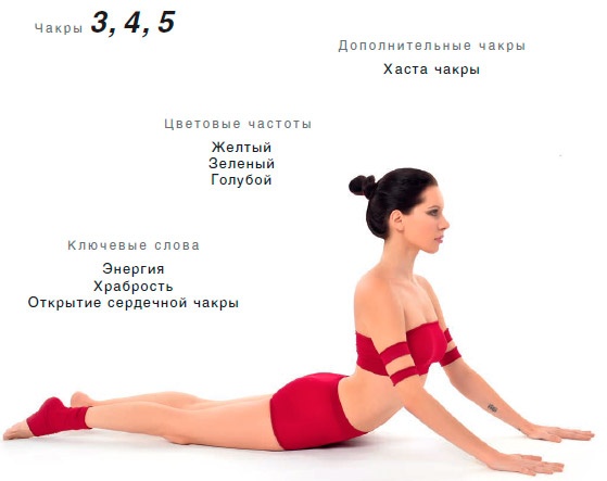 Иллюстрация к книге — Энергетика йоги. Практический курс [i_028.jpg]