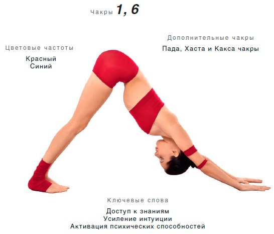 Иллюстрация к книге — Энергетика йоги. Практический курс [i_032.jpg]