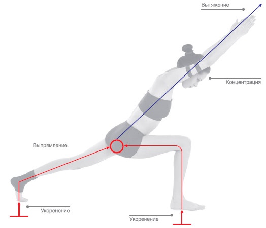 Иллюстрация к книге — Энергетика йоги. Практический курс [i_039.jpg]