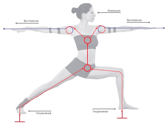 Иллюстрация к книге — Энергетика йоги. Практический курс [i_041.jpg]