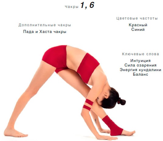 Иллюстрация к книге — Энергетика йоги. Практический курс [i_048.jpg]