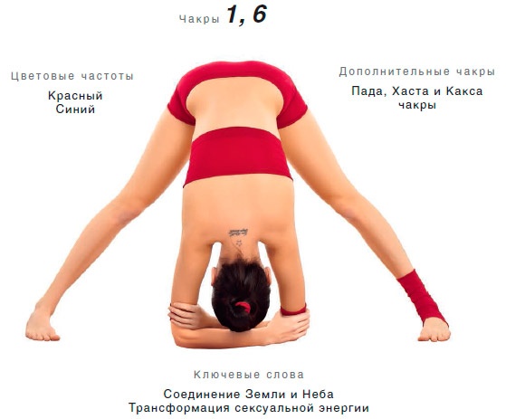 Иллюстрация к книге — Энергетика йоги. Практический курс [i_050.jpg]