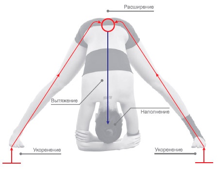 Иллюстрация к книге — Энергетика йоги. Практический курс [i_051.jpg]