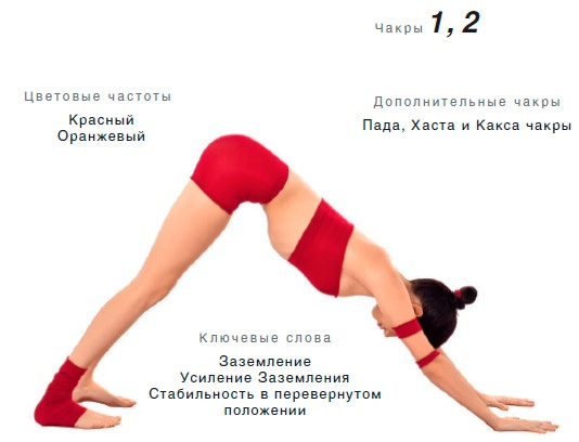 Иллюстрация к книге — Энергетика йоги. Практический курс [i_058.jpg]