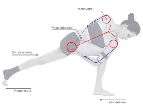 Иллюстрация к книге — Энергетика йоги. Практический курс [i_063.jpg]