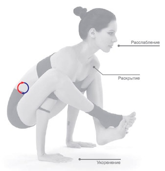 Иллюстрация к книге — Энергетика йоги. Практический курс [i_073.jpg]