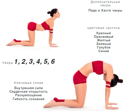 Иллюстрация к книге — Энергетика йоги. Практический курс [i_076.jpg]