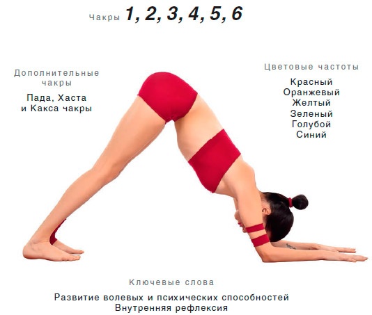 Иллюстрация к книге — Энергетика йоги. Практический курс [i_078.jpg]