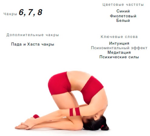 Иллюстрация к книге — Энергетика йоги. Практический курс [i_082.jpg]