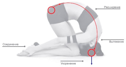 Иллюстрация к книге — Энергетика йоги. Практический курс [i_083.jpg]