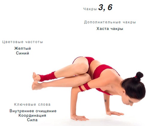 Иллюстрация к книге — Энергетика йоги. Практический курс [i_088.jpg]
