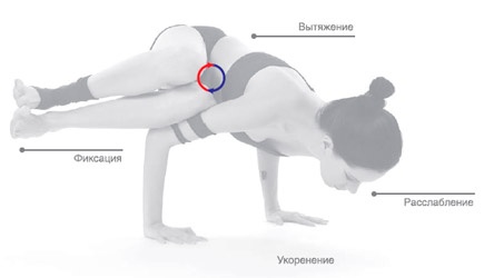 Иллюстрация к книге — Энергетика йоги. Практический курс [i_089.jpg]