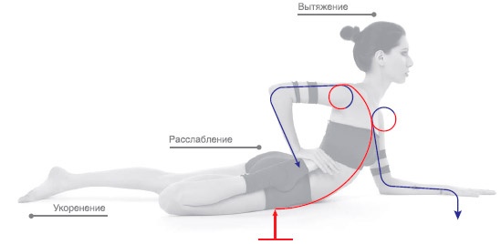 Иллюстрация к книге — Энергетика йоги. Практический курс [i_101.jpg]