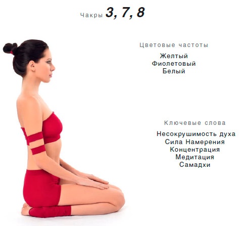 Иллюстрация к книге — Энергетика йоги. Практический курс [i_102.jpg]