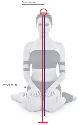 Иллюстрация к книге — Энергетика йоги. Практический курс [i_111.jpg]