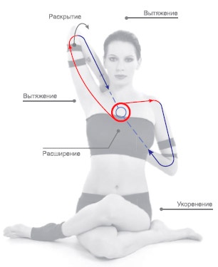 Иллюстрация к книге — Энергетика йоги. Практический курс [i_115.jpg]