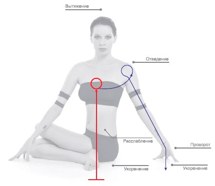 Иллюстрация к книге — Энергетика йоги. Практический курс [i_117.jpg]