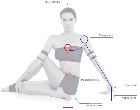 Иллюстрация к книге — Энергетика йоги. Практический курс [i_121.jpg]