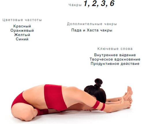 Иллюстрация к книге — Энергетика йоги. Практический курс [i_122.jpg]