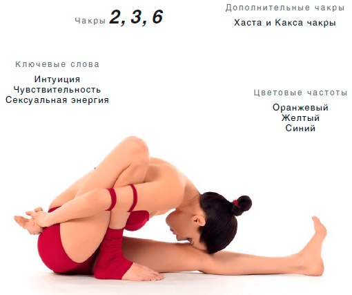 Иллюстрация к книге — Энергетика йоги. Практический курс [i_128.jpg]