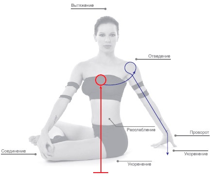 Иллюстрация к книге — Энергетика йоги. Практический курс [i_139.jpg]