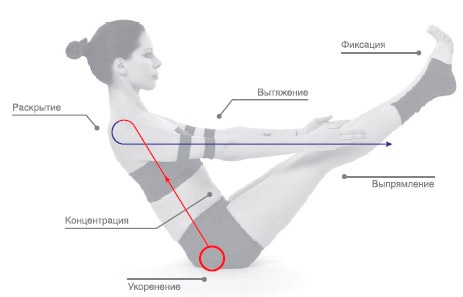 Иллюстрация к книге — Энергетика йоги. Практический курс [i_145.jpg]