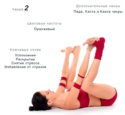 Иллюстрация к книге — Энергетика йоги. Практический курс [i_148.jpg]