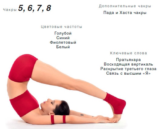 Иллюстрация к книге — Энергетика йоги. Практический курс [i_160.jpg]