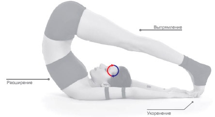 Иллюстрация к книге — Энергетика йоги. Практический курс [i_161.jpg]