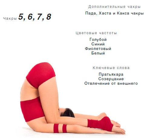 Иллюстрация к книге — Энергетика йоги. Практический курс [i_162.jpg]