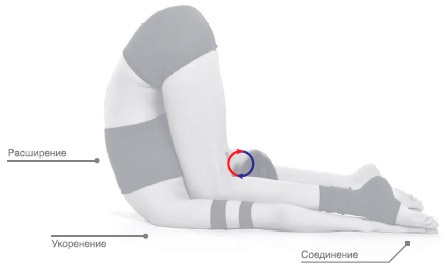 Иллюстрация к книге — Энергетика йоги. Практический курс [i_163.jpg]