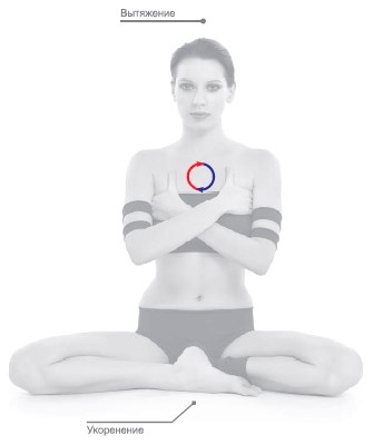 Иллюстрация к книге — Энергетика йоги. Практический курс [i_171.jpg]