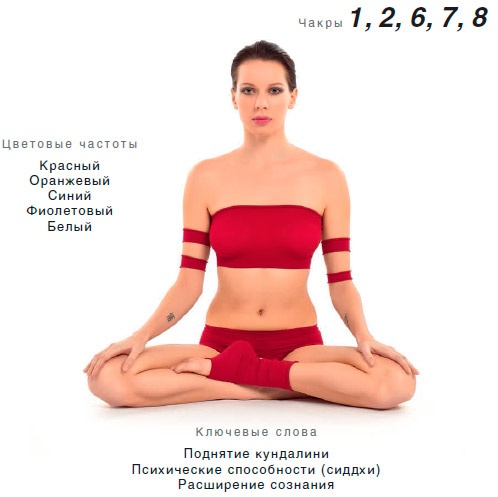 Иллюстрация к книге — Энергетика йоги. Практический курс [i_174.jpg]