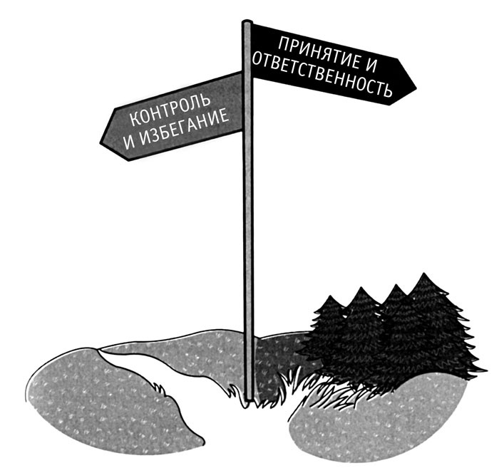 Иллюстрация к книге — Я не могу уснуть. Уникальная система избавления от бессонницы за 5 недель [i_012.jpg]