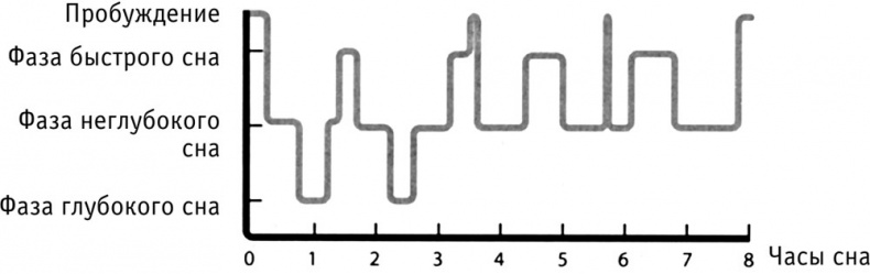 Иллюстрация к книге — Я не могу уснуть. Уникальная система избавления от бессонницы за 5 недель [i_022.jpg]