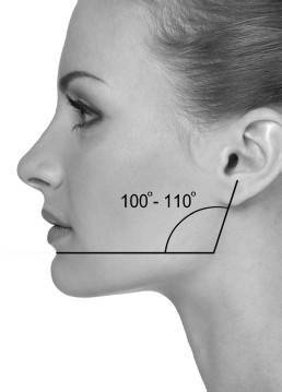 Иллюстрация к книге — Биогимнастика для лица: система фейсмионика [i_025.jpg]