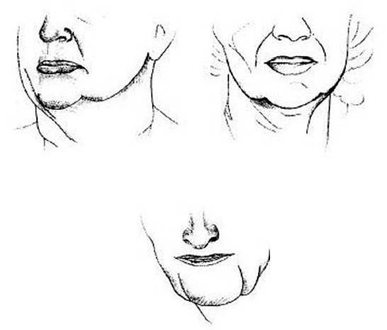Иллюстрация к книге — Биогимнастика для лица: система фейсмионика [i_027.jpg]