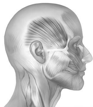 Иллюстрация к книге — Биогимнастика для лица: система фейсмионика [i_034.jpg]