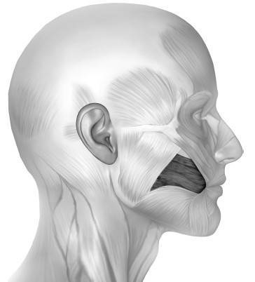 Иллюстрация к книге — Биогимнастика для лица: система фейсмионика [i_052.jpg]
