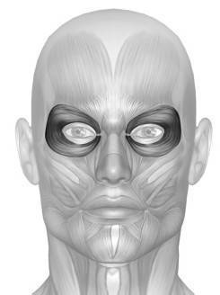 Иллюстрация к книге — Биогимнастика для лица: система фейсмионика [i_058.jpg]