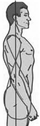 Иллюстрация к книге — Биогимнастика для лица: система фейсмионика [i_073.jpg]