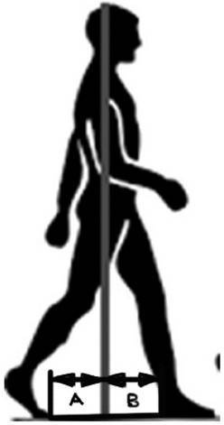 Иллюстрация к книге — Биогимнастика для лица: система фейсмионика [i_077.jpg]