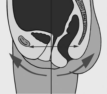 Иллюстрация к книге — Биогимнастика для лица: система фейсмионика [i_080.jpg]