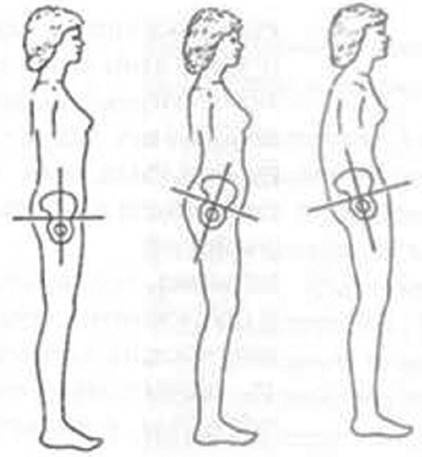 Иллюстрация к книге — Биогимнастика для лица: система фейсмионика [i_081.jpg]