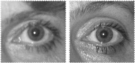 Иллюстрация к книге — Биогимнастика для лица: система фейсмионика [i_107.jpg]