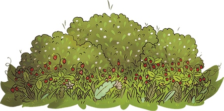 Иллюстрация к книге — Леська и людоед [i_009.jpg]