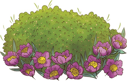 Иллюстрация к книге — Леська и людоед [i_015.jpg]