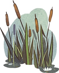 Иллюстрация к книге — Леська и людоед [i_025.jpg]